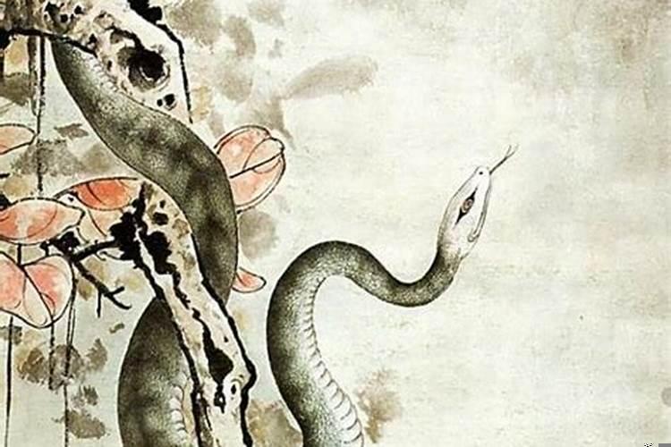 45岁属什么生肖