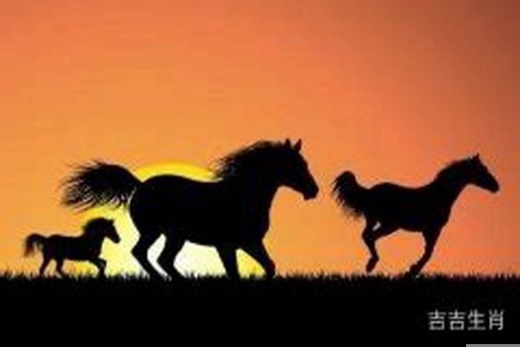 2014属马终身运势
