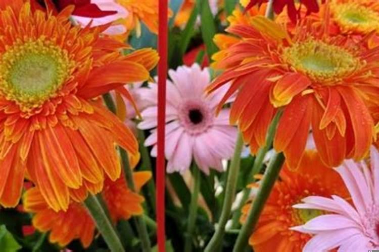 2025年9月开业哪天好