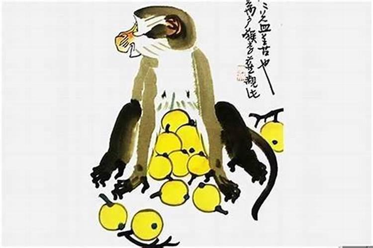 属猴1992今年多大了