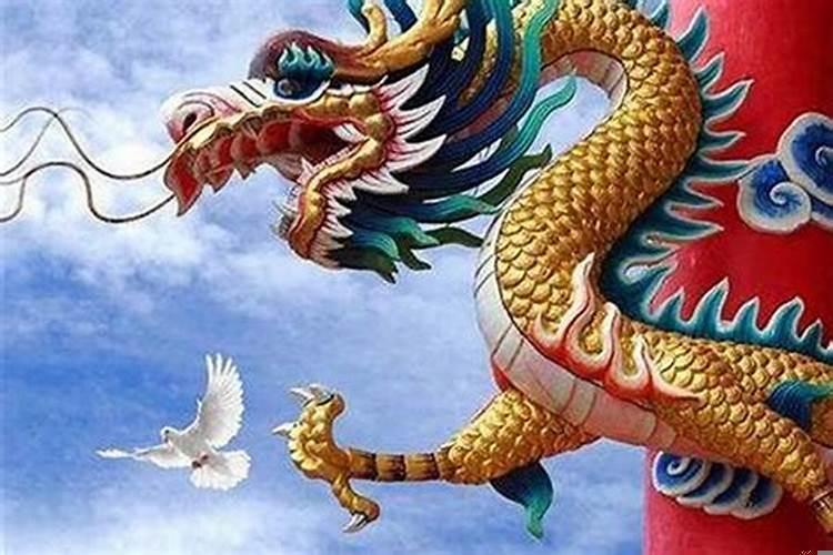 兔与龙生肖相配吗