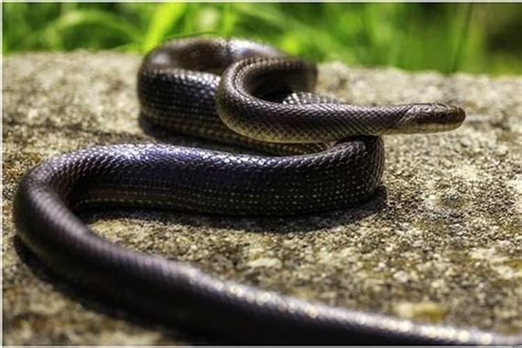 梦见路过好多坟头害怕