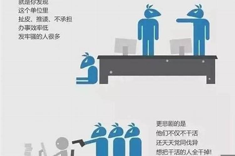 算命的说今年不适合换工作