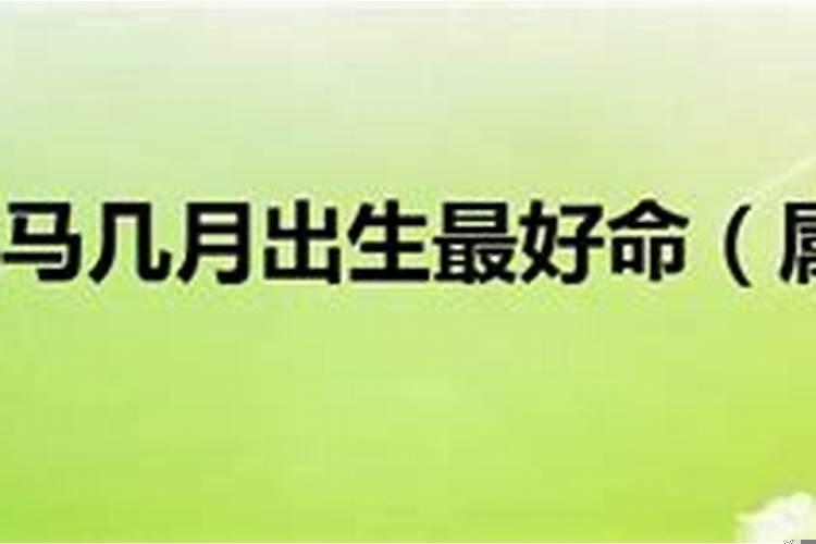 1990年几月出生的马好