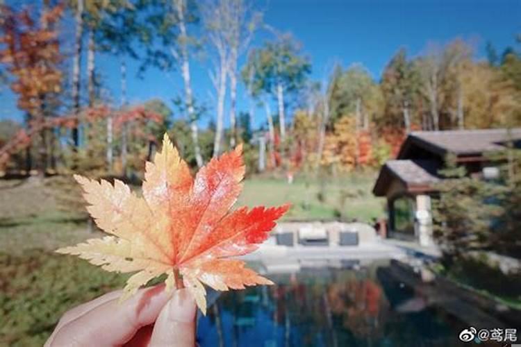 相守的人却不能到白头