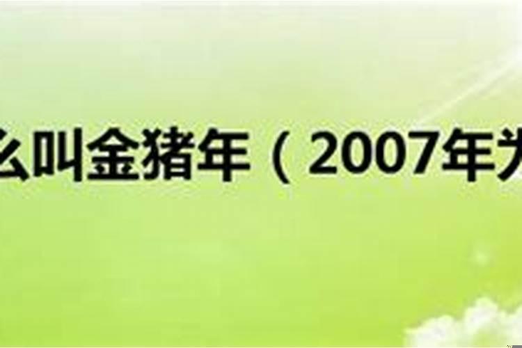 2019金猪年是什么意思