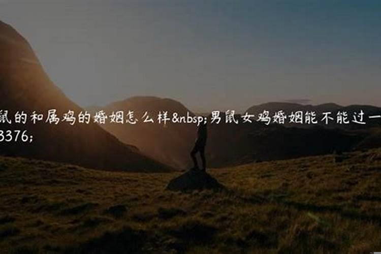 属鸡的和属鸡的婚姻合不合