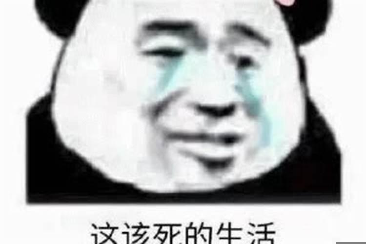 我什么时候发财表情包