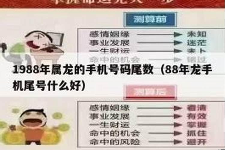 1988年属龙人永久吉利的数字