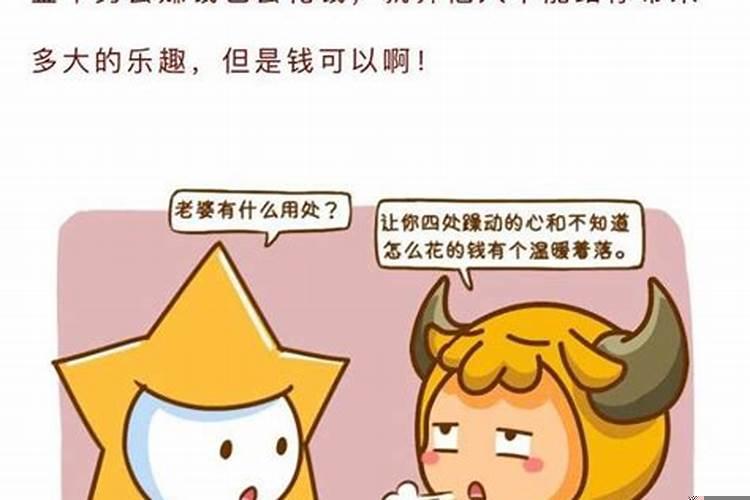 十二星座好妻子排名