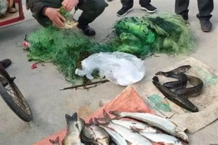 梦见买鱼周公解梦