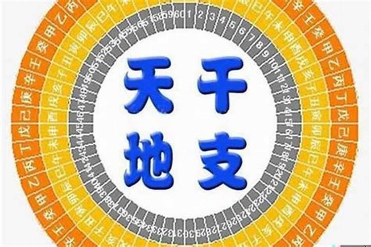 八字火过旺，五行喜金水