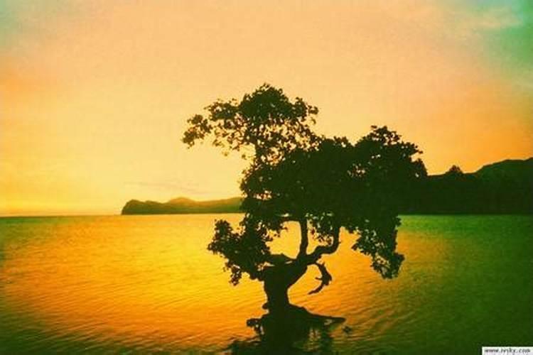 佛教对于婚姻的观点