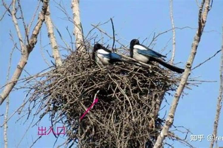 公务员真的比事业单位好