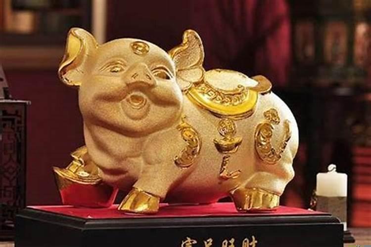2019金猪年是什么意思