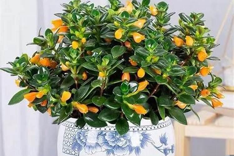 现在有什么生财之道