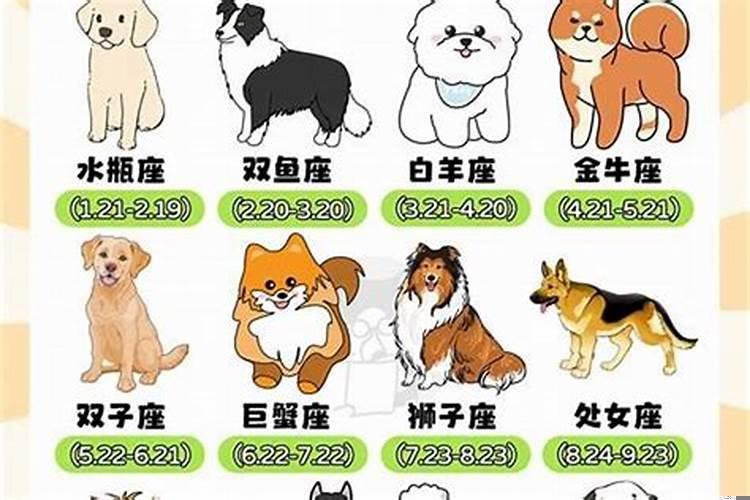 82年属狗的2025年多大岁数