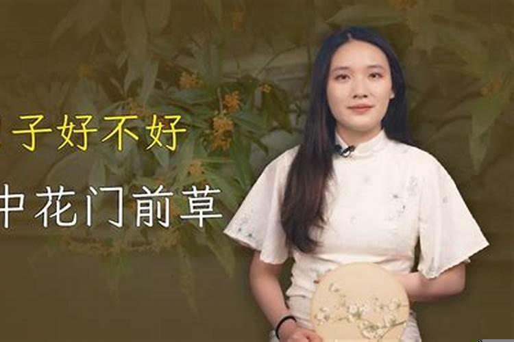 2025年12月15日是什么