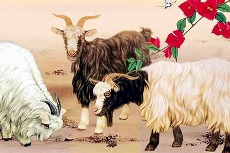 生肖羊人的恩人是谁