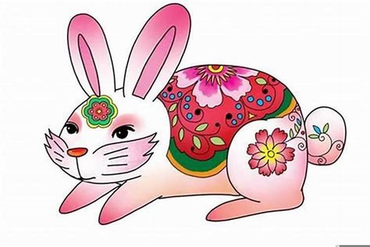 属兔的今年为什么这么不顺