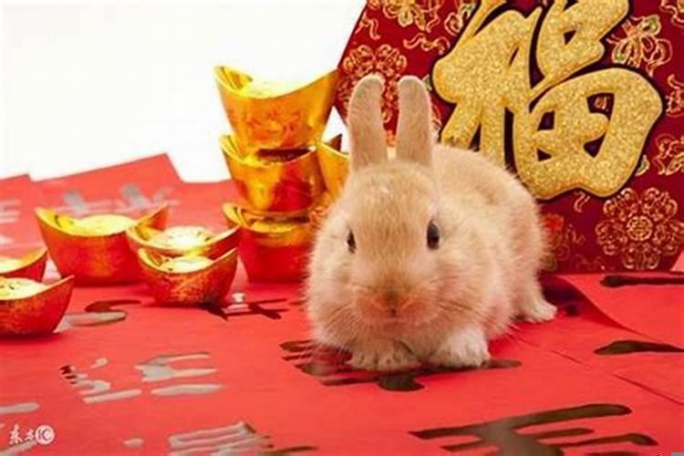 属兔身边的小人是属什么的