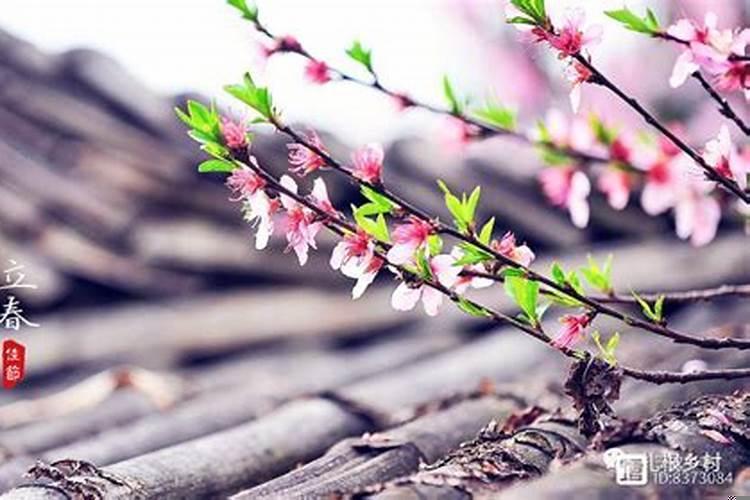 躲春是什么如何躲春2021年