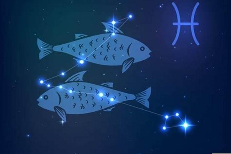 双子女和双鱼男适合在一起吗