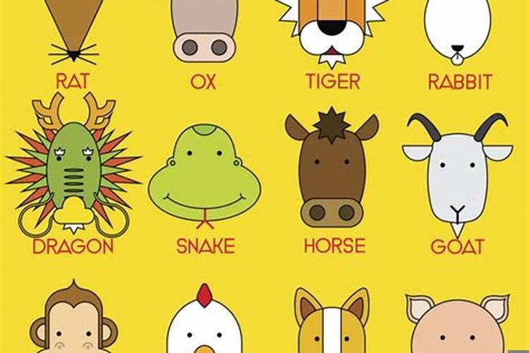 十二生肖各缺一器官对照表