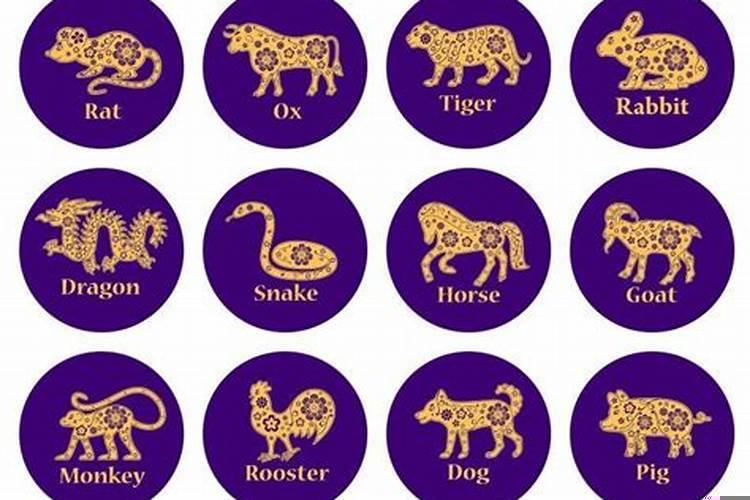 未来十年最有钱的生肖