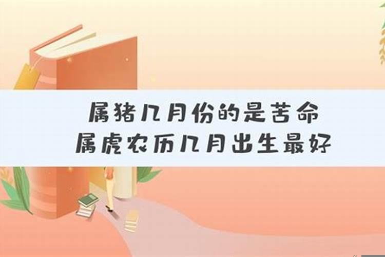 属猪的哪天出生命苦