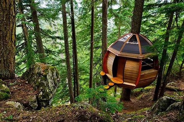 有财运的女人面相有什么特征