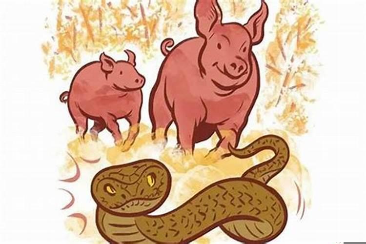 有属猪和属蛇的夫妻吗