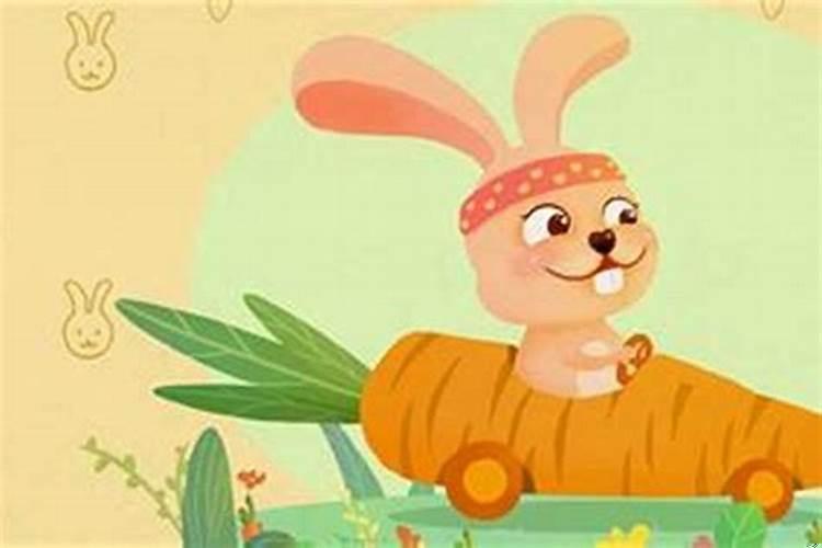 87年的兔佩戴什么招财