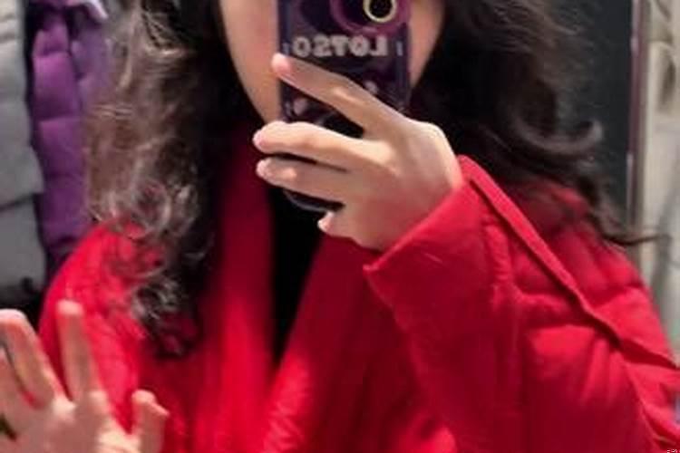 属猪适合的颜色有哪些