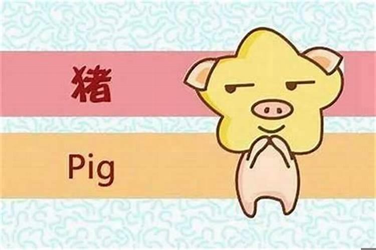 属猪适合的颜色有哪些