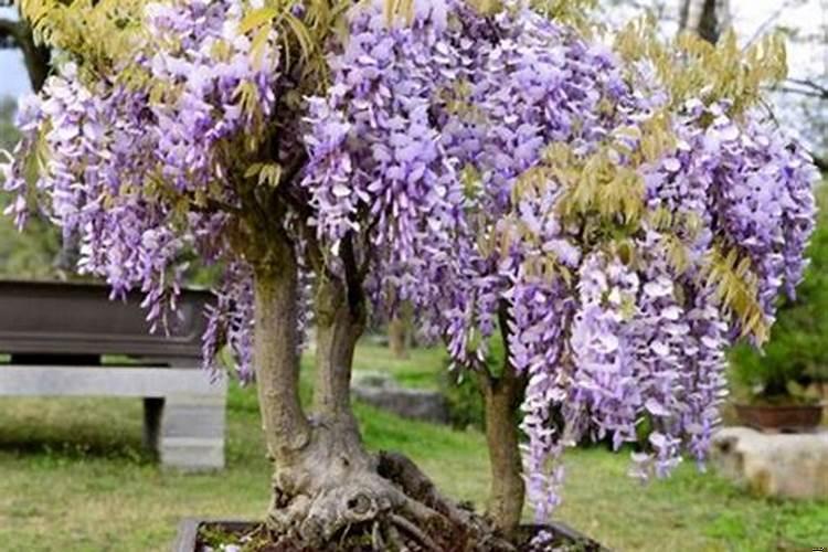 成人怎么提高记忆力