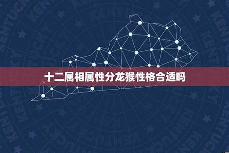 龙男和猴女能相配吗