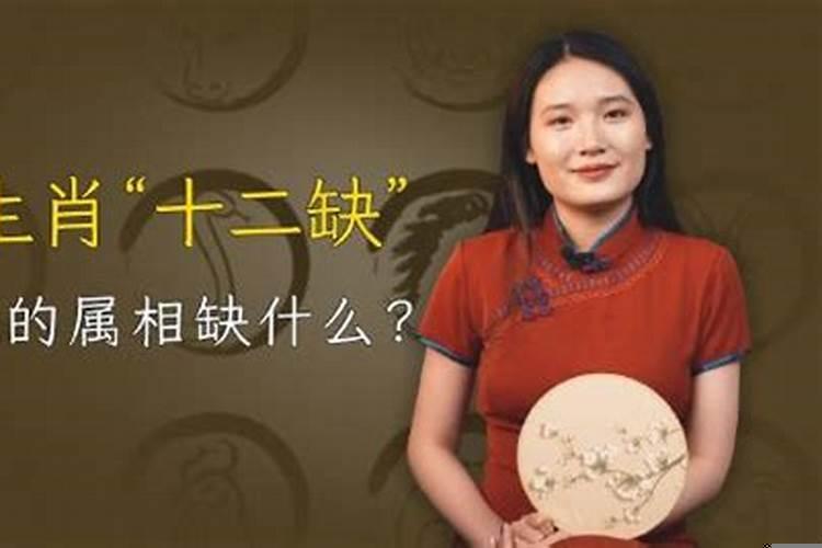 十二生肖各缺一器官对照表