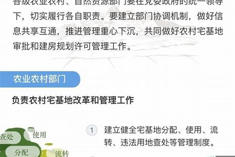 87年的兔佩戴什么招财