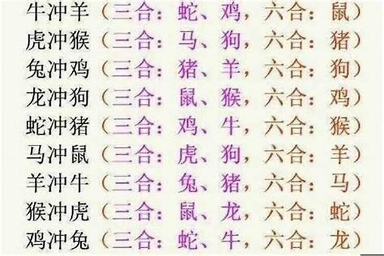 什么属相和龙相合