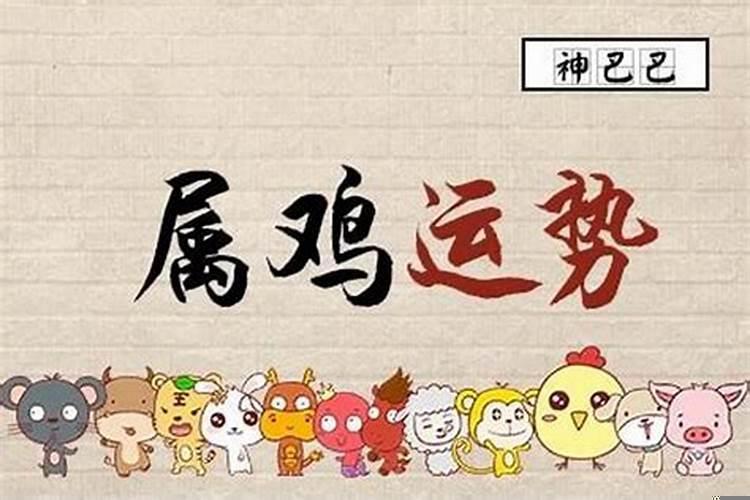 属鸡的人买七楼好吗