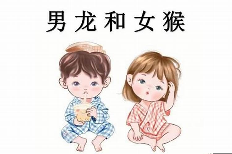 龙男和猴女能相配吗
