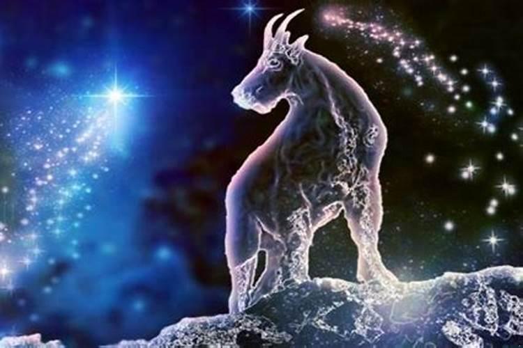 我要看关于摩羯座的