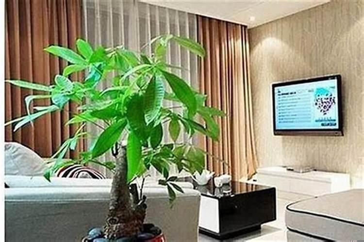 生孩子跟风水有关系吗