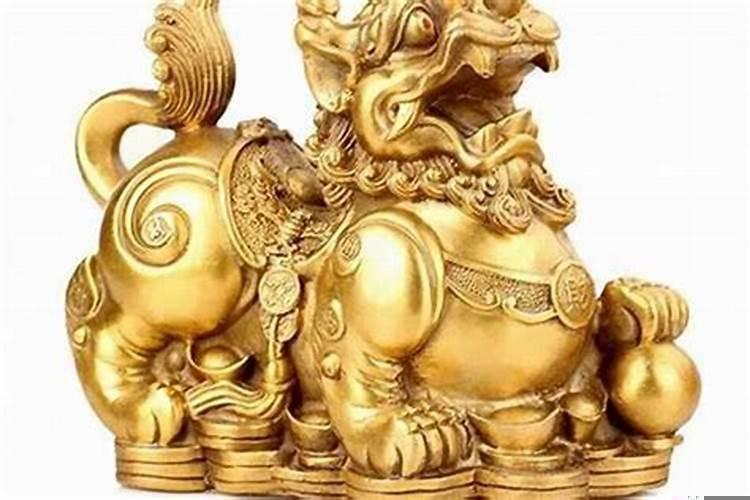 属狗人家里放什么招财最好