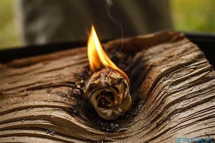 怀孕梦到妈妈说我怀的是女孩