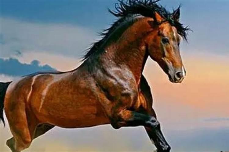 78年属马劫难在什么时候