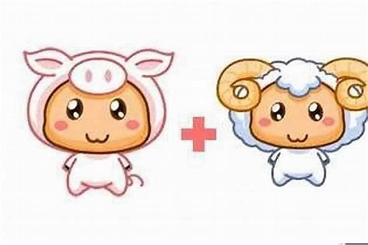 属猪适合做夫妻吗