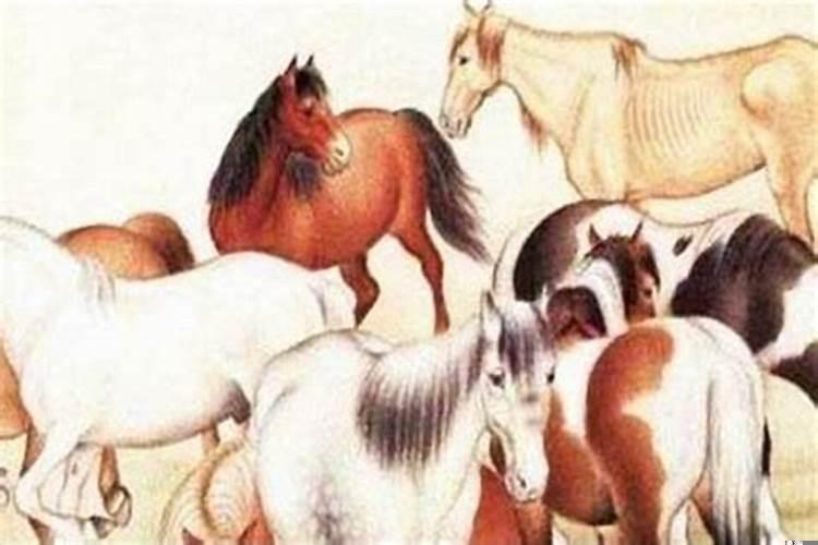 羊和马属相婚配好不好