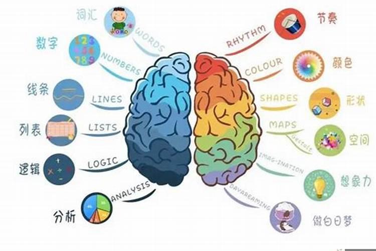 成人怎么提高记忆力